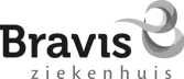 1746623676-bravis-logo-png-1-copy